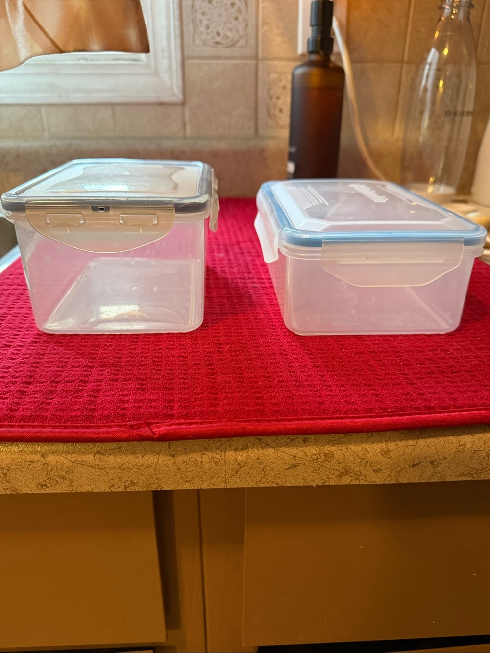 Clear Plastic Food Storage Containers with Blue Lids - Set of 2